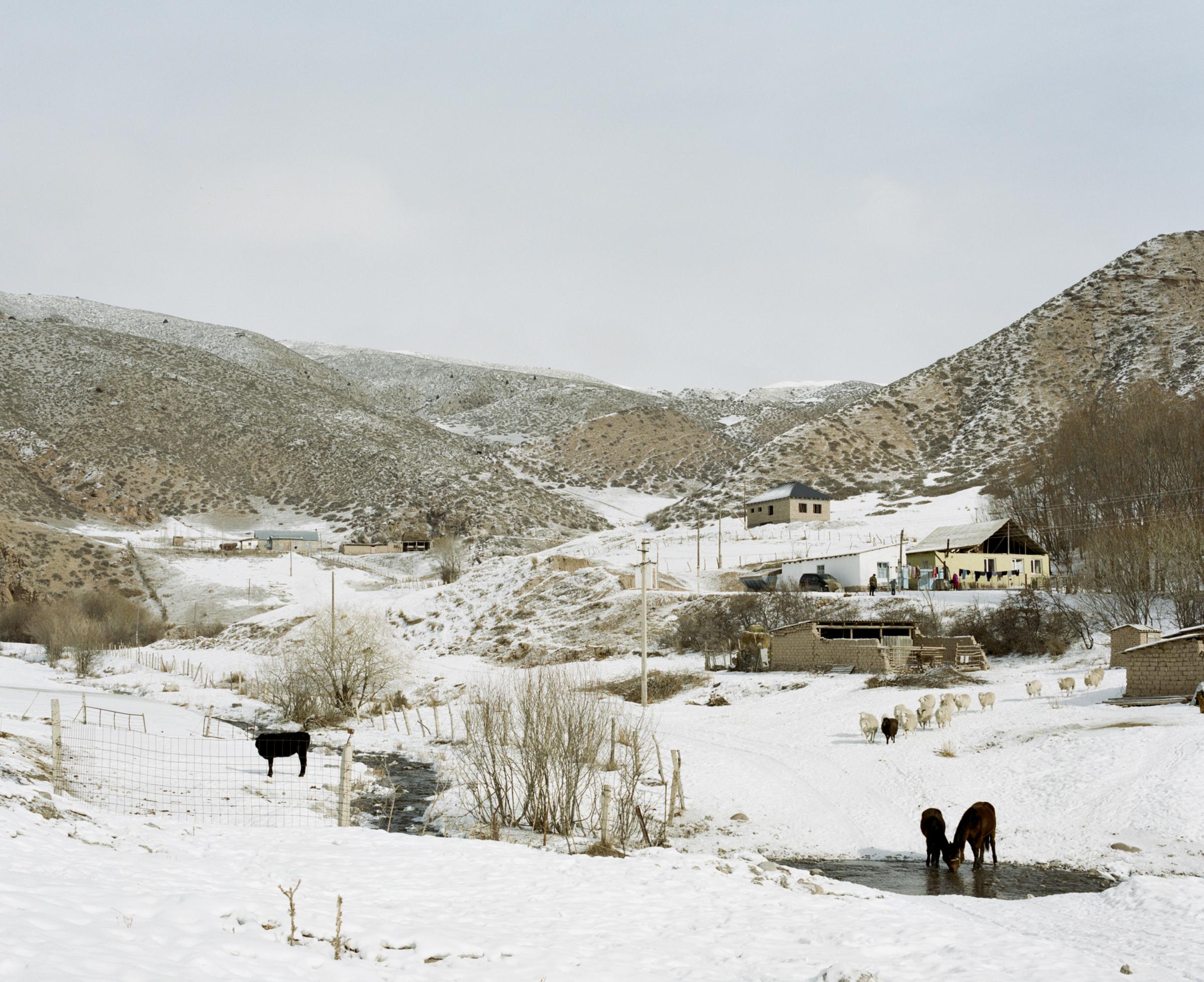 Wolf Hunters - Ottuk, Kyrgyzstan. January, 2021.