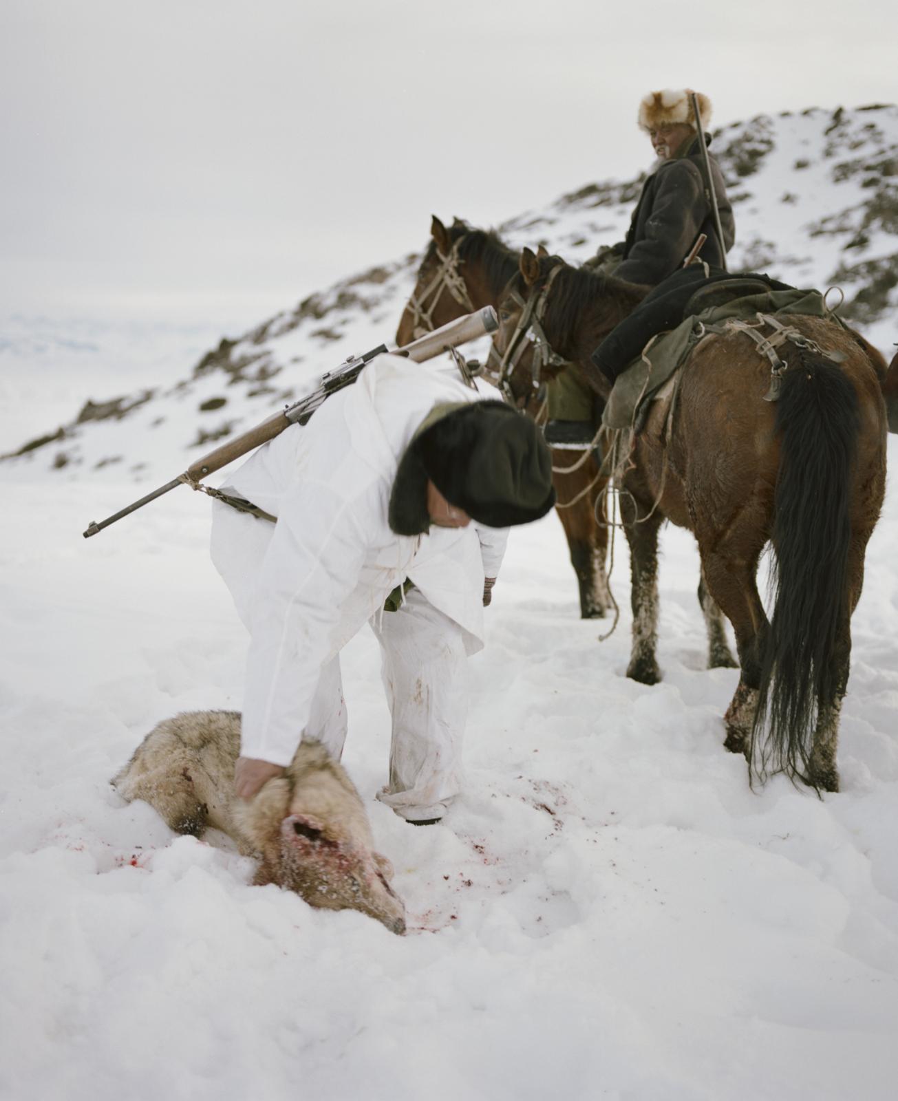 Wolf Hunters - Adibai inspects a she-wolf he shot at a distance of 150...