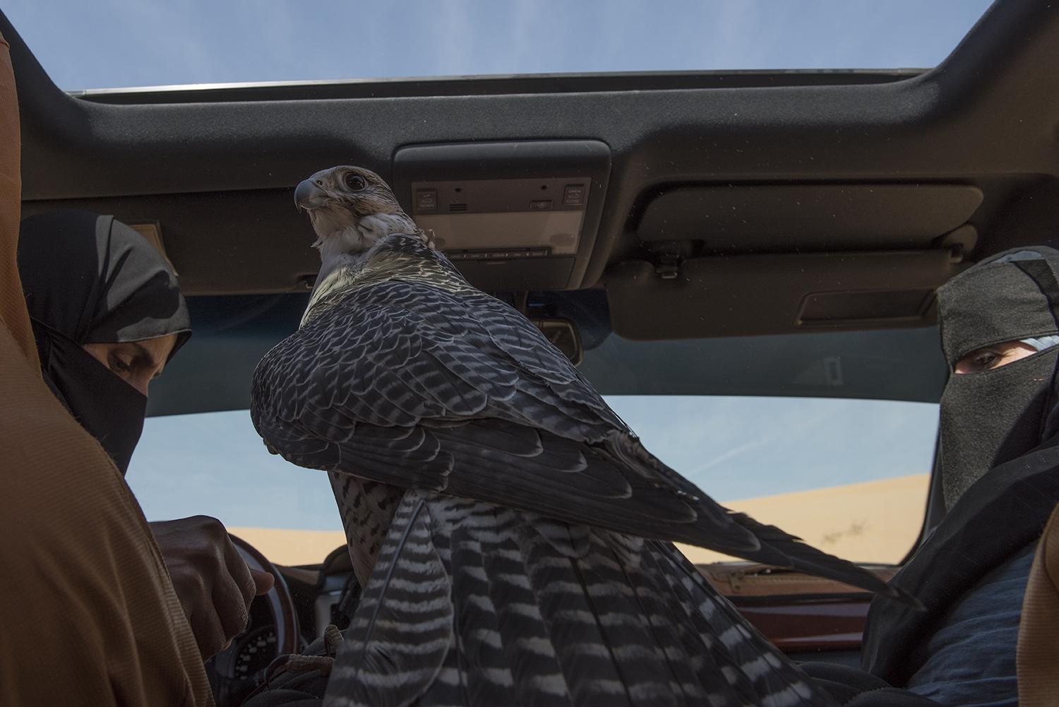 UAE : Women Breaking Stereotypes with Falconry -                ...