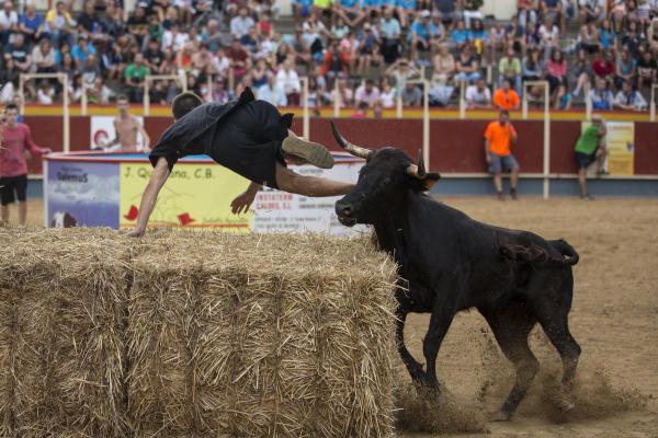 Vidreres a small town in the province of Girona, vote to maintain the controversial bullfight