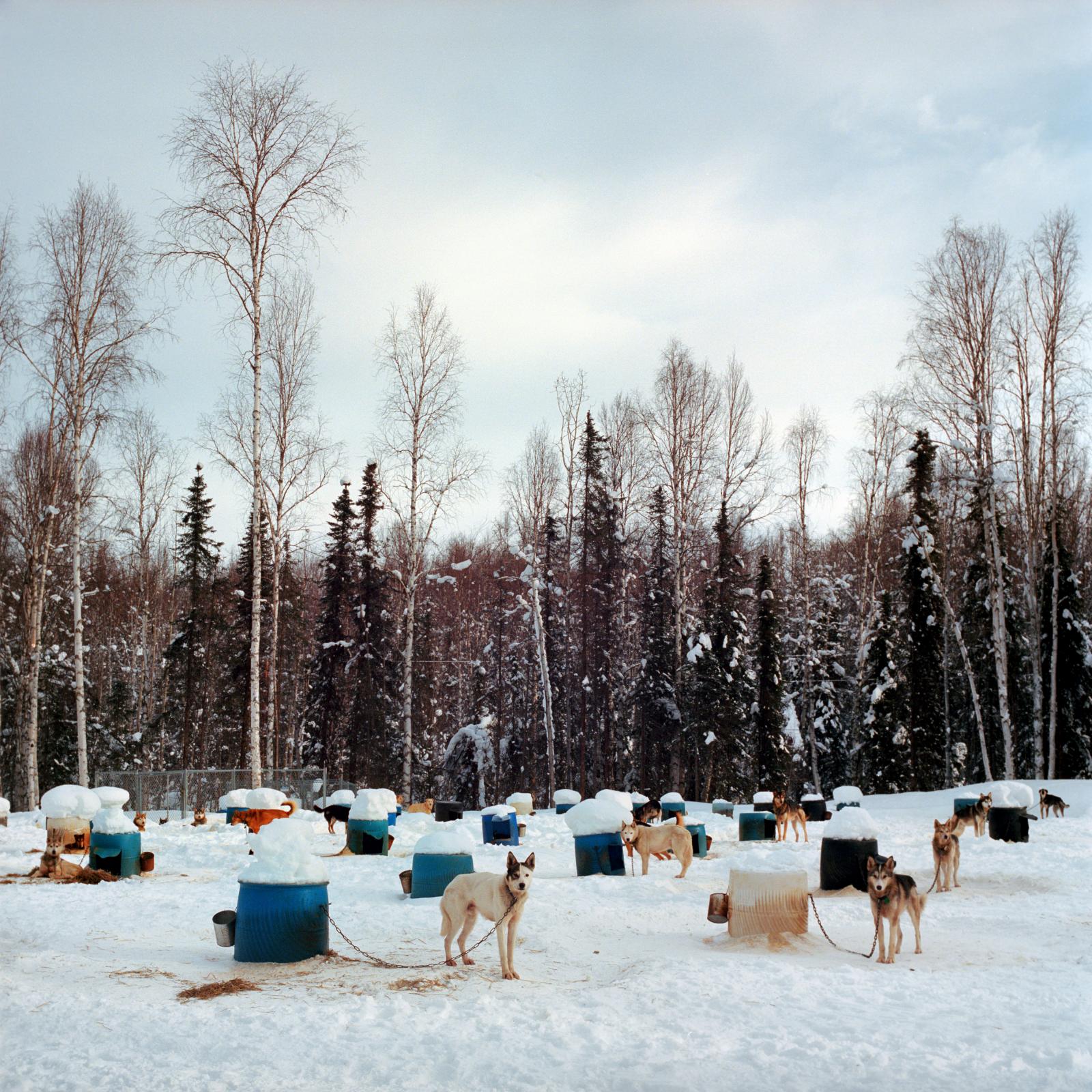 Alaska, 2013. 