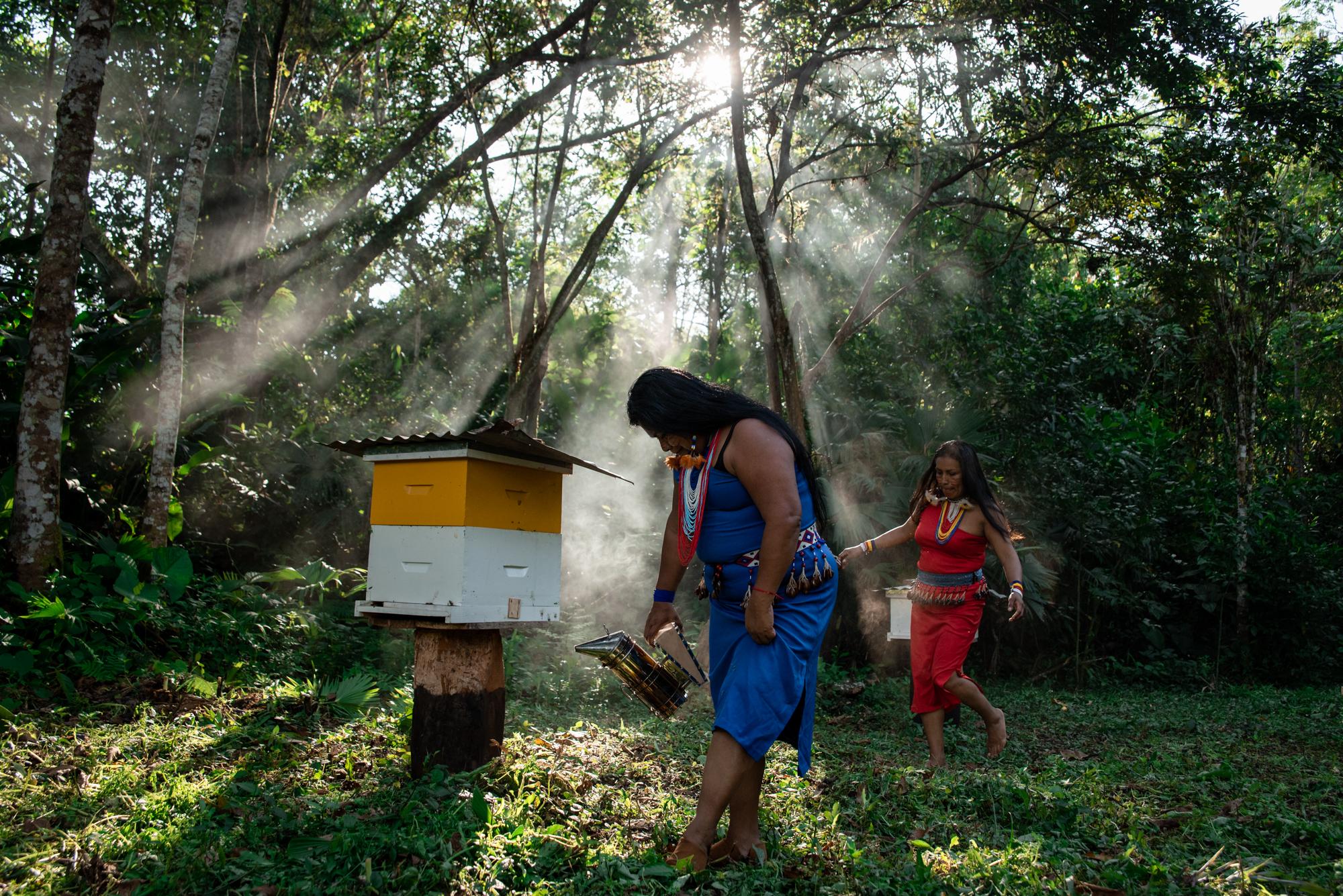 Raquel Antun (52) y Shira Mashinkiash (38) apiculturas cuidan de sus abejas en la comunidad Sevilla Don Bosco. Diciembre 10,2021.Macas, Ecuador. Johis Alarc&oacute;n para ONU Mujeres