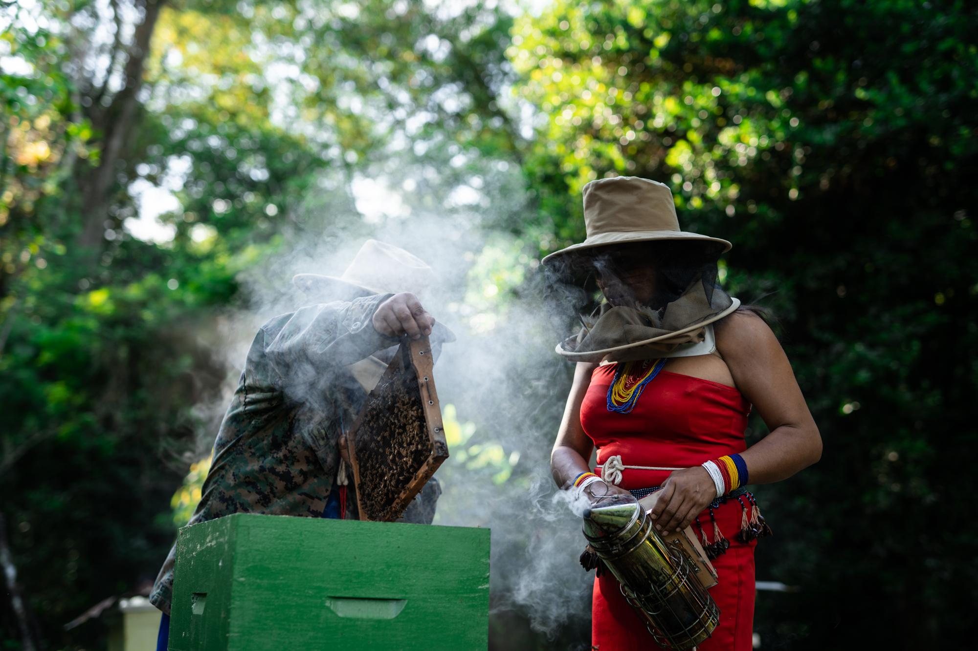 Raquel Antun (52) y Shira Mashinkiash (38) apiculturas cuidan de sus abejas en la comunidad...