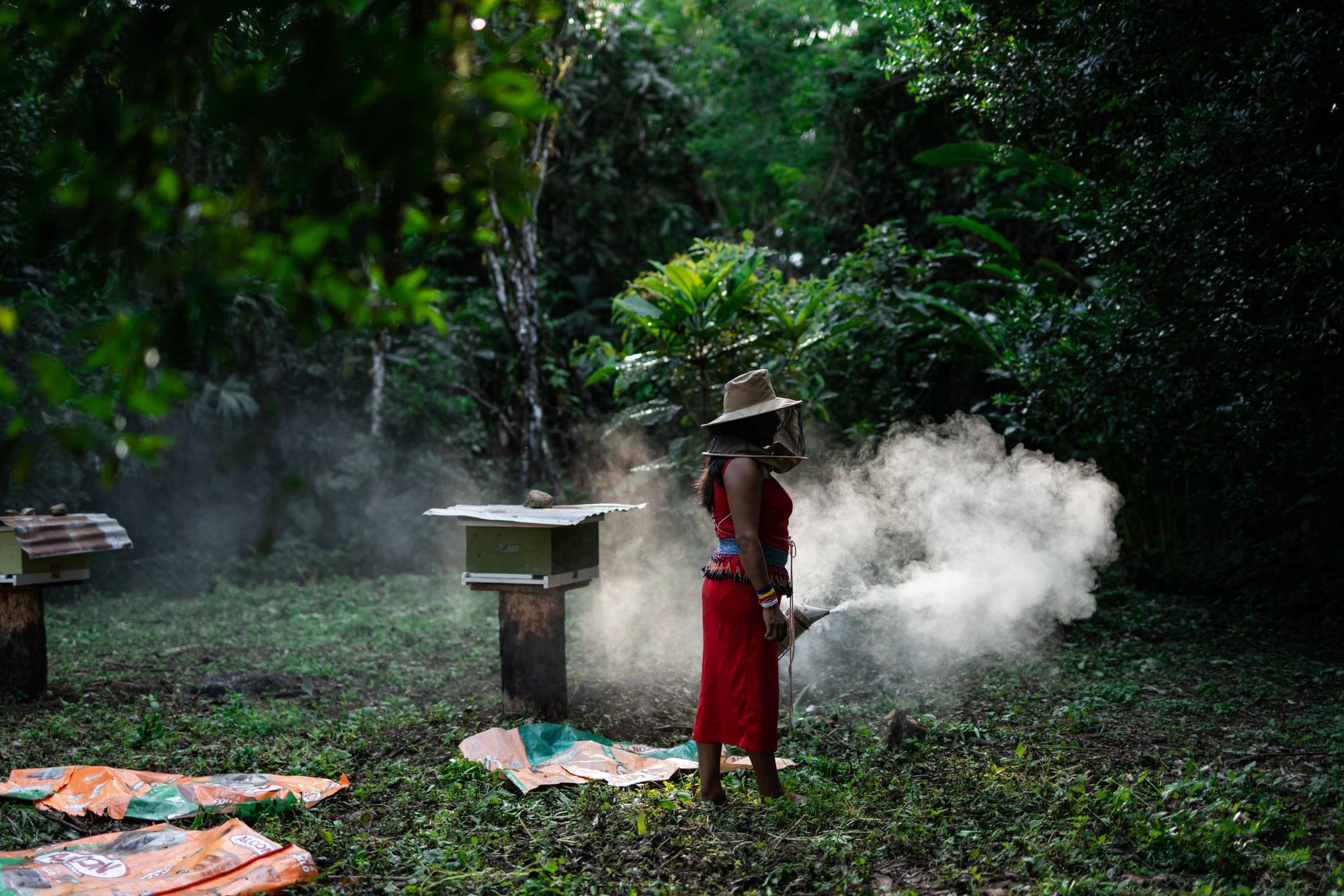 UN WOMEN Ecuador - Shira Mashinkiash (38) apiculturas cuidan de sus abejas...