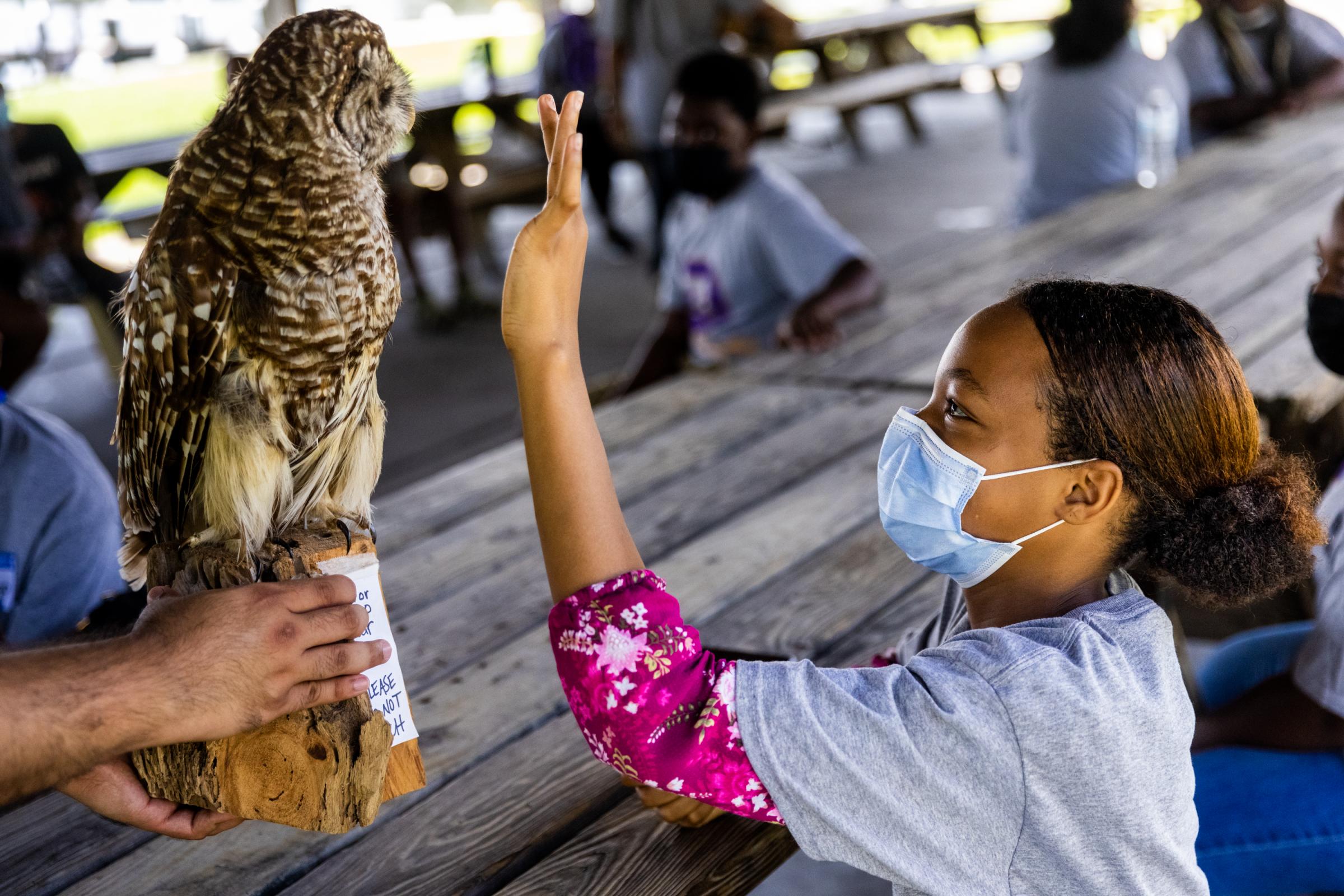 Turner Station: Heart and Soul - Brianna Dent reaches up to touch a taxidermied barred owl...