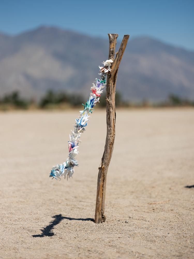 Paper Cranes, Manzanar Graveyard