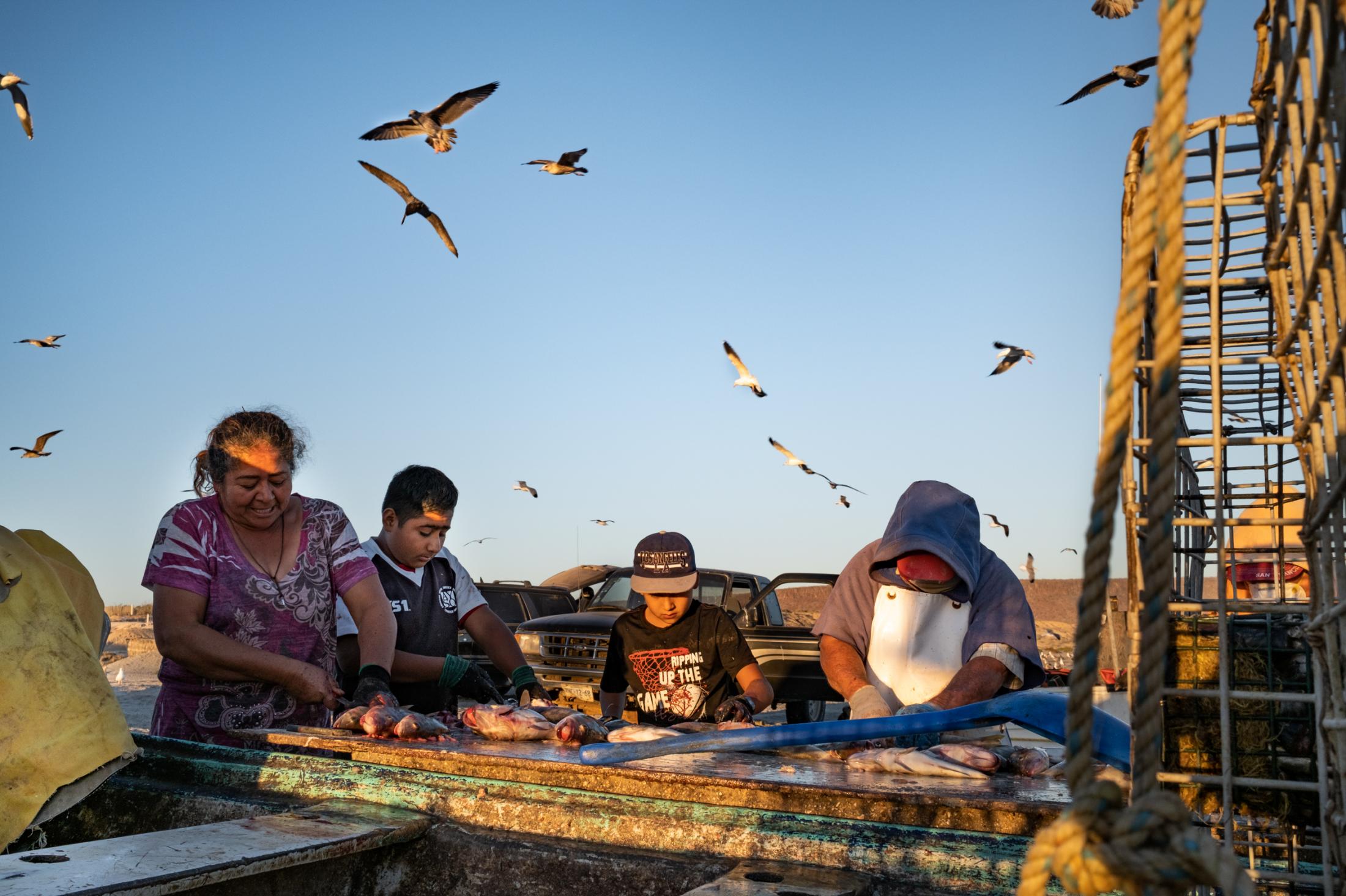Until We Are Gone - Baja California - Emilda and her family clean the fish prior to transport...