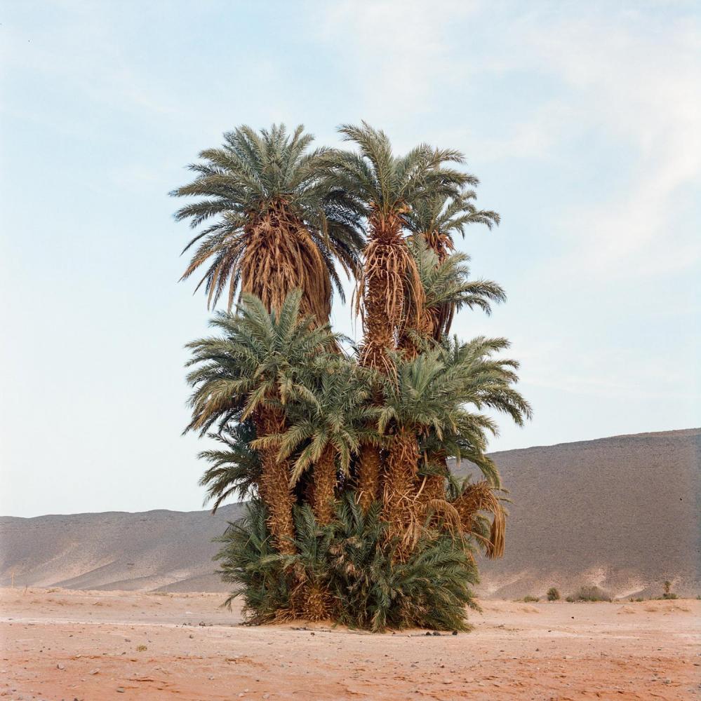 In the dry and arid desert, the...is 15 km from the town of Assa.