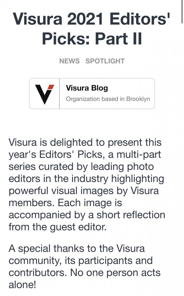 Thumbnail of The Visura Editors' Picks: Part II
