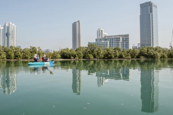 UAE: Conserving Mangroves: A Community Based Approach
