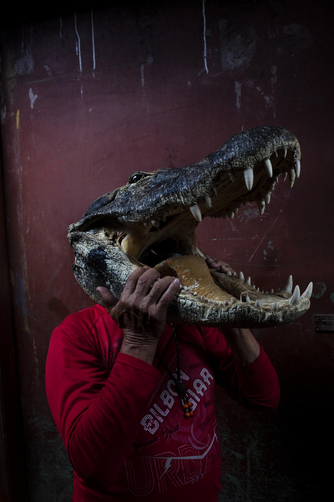 A man sells a caiman skull at the Belen market in Iquitos, Peru. Many animals and their parts are...