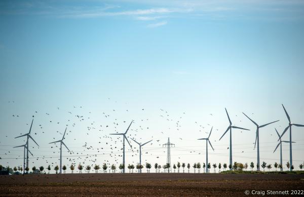 Feldheim, Germany 100% Energy self-sufficient-Getty Editorial - FELDHEIM, GERMANY-OCTOBER 13: A flock of birds fly...