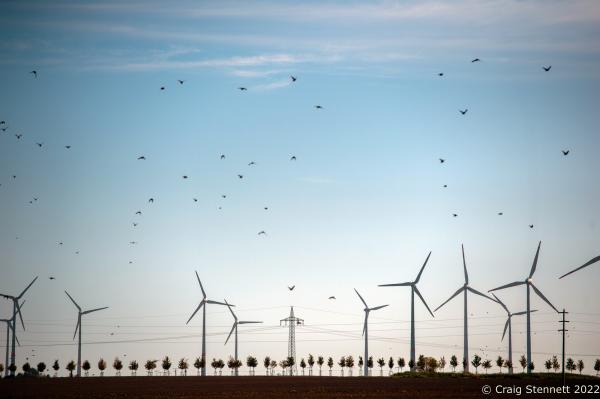 Image from Feldheim, Germany 100% Energy self-sufficient-Getty Editorial - FELDHEIM, GERMANY-OCTOBER 13: Birds fly over the wind...