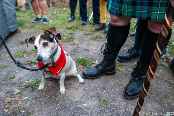 Image from 22nd International Highland Games, Trebsen, Germany - TREBSEN, GERMANY - SEPTEMBER 15: A dog from the Clan...