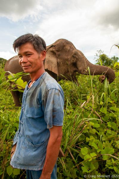 Elephant Rescue-Thailand - BAAN TUEK, THAILAND- JULY 26: Mahout Som Chai with his...