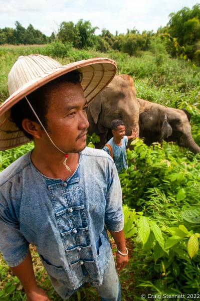 Elephant Rescue-Thailand - BAAN TUEK, THAILAND- JULY 26: Mahouts Don & Lor with...