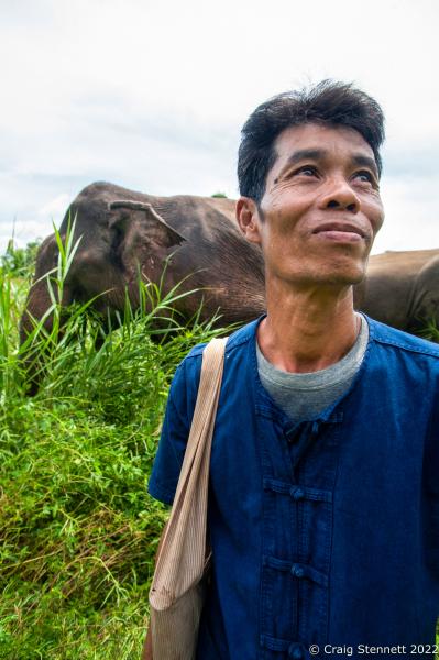Image from Elephant Rescue-Thailand - BAAN TUEK, THAILAND- JULY 29: Mahout Sot with his Asian...