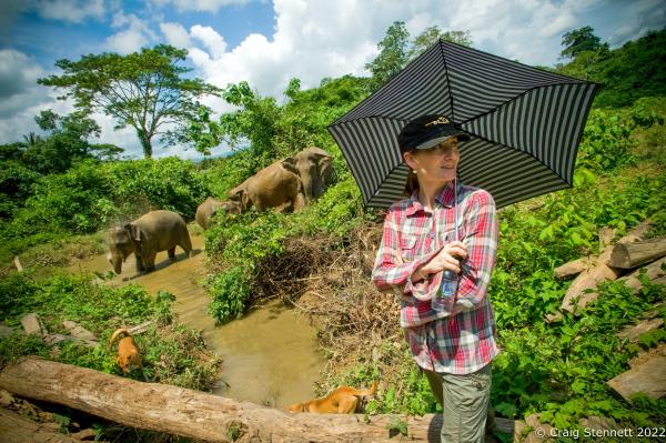 Elephant Rescue-Thailand - BAAN TUEK, THAILAND- JULY 26: Katherine Connor watches...