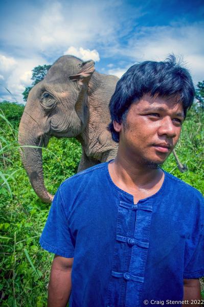 Image from Elephant Rescue-Thailand - BAAN TUEK, THAILAND- JULY 26: Mahout Dong Surbsawan with...