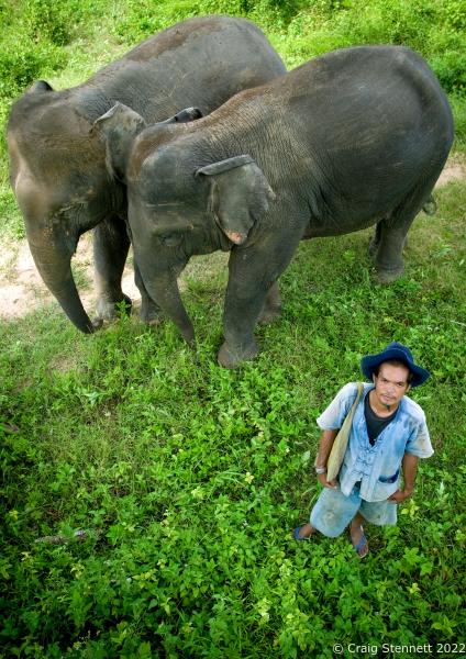Elephant Rescue-Thailand - BAAN TUEK, THAILAND- JULY 26:Mahout San with Asian...