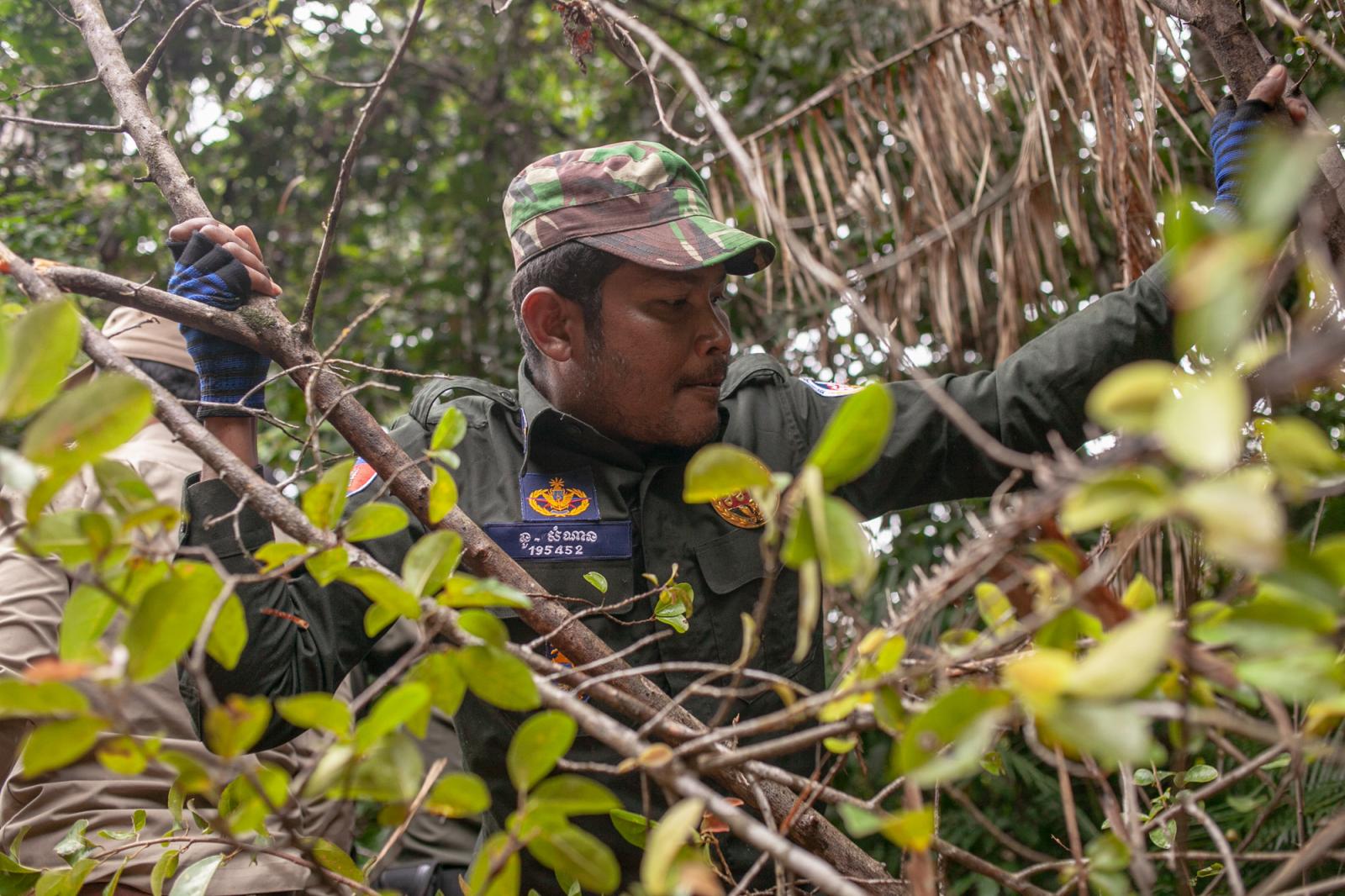 A Wildlife Alliance ranger brea...ngle vegetation. Cambodia 2012.