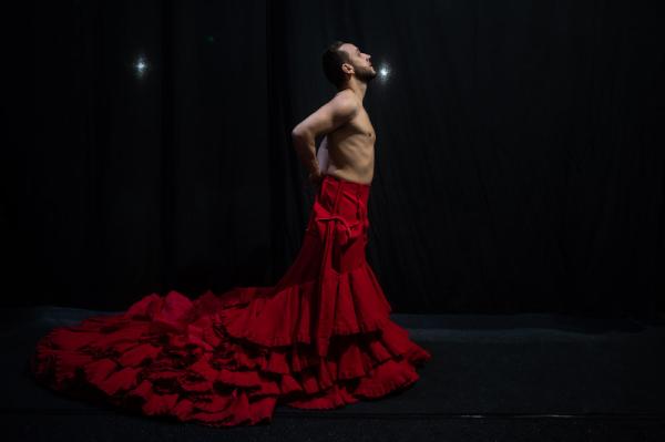 The Flamenco Revolution