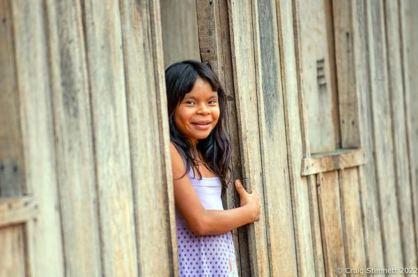 LAPETANHA, BRAZIL-OCTOBER 24: A young indegenous indian girl stands at the doorway to her family home at the Paiter-Surui village of Lapetanha in the &quot;7th September Indian Reserve&quot;Rond&ocirc;nia, Brazil on October 24th, 2010. The tribe had a 50 year plan to halt illegal logging on their land and plant a million trees in order to return their part of the Amazon rainforest back to its pristine condition through the financing earned from carbon offsetting. Indigenous people have contributed less to climate change than has any other section of the population, yet they are among those most in jeopardy from its impacts. REDD+ stands for &ldquo;Reducing Emissions from Deforestation and Degradation&quot; and it is enshrined in the 2015 Paris Climate Agreement. The &quot;Forest Carbon Project&quot;, was initiated by the Patier-Surui in 2009 and was the first indigenous-led conservation project financed through the sale of carbon offsets. It dramatically reduced deforestation within the territory of the Paiter-Surui during the first five years of operation (2009-2014), but was suspended in 2018 after the discovery of large gold deposits in the territory that sparked a surge in deforestation and a fracture in the indigenous tribe&#39;s unity on how to proceed. (Photo by Craig Stennett/Getty Images)