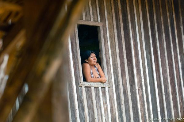 LAPETANHA, BRAZIL-OCTOBER 24: A woman from the Paiter-Surui tribe looks out from her family home at the Paiiter-Surui village of Lapetanha in the &quot;7th September Indian Reserve&quot; Rond&ocirc;nia, Brazil on October 24th, 2010.The tribe had a 50 year plan to halt illegal logging on their land and plant a million trees in order to return their part of the Amazon rainforest back to its pristine condition through the financing earned from carbon offsetting. Indigenous people have contributed less to climate change than has any other section of the population, yet they are among those most in jeopardy from its impacts. REDD+ stands for &ldquo;Reducing Emissions from Deforestation and Degradation&quot; and it is enshrined in the 2015 Paris Climate Agreement. The &quot;Forest Carbon Project&quot;, was initiated by the Patier-Surui in 2009 and was the first indigenous-led conservation project financed through the sale of carbon offsets. It dramatically reduced deforestation within the territory of the Paiter-Surui during the first five years of operation (2009-2014), but was suspended in 2018 after the discovery of large gold deposits in the territory that sparked a surge in deforestation and a fracture in the indigenous tribe&#39;s unity on how to proceed. (Photo by Craig Stennett/Getty Images)