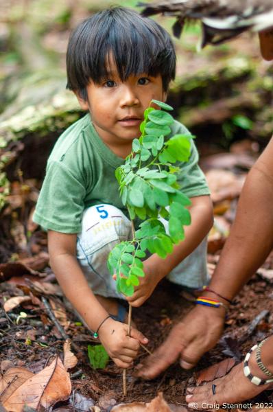 Paiter-Surui Tribe, Amazonia, Brazil-Getty Images - LAPETANHA, BRAZIL-OCTOBER 25: A young boy of the...