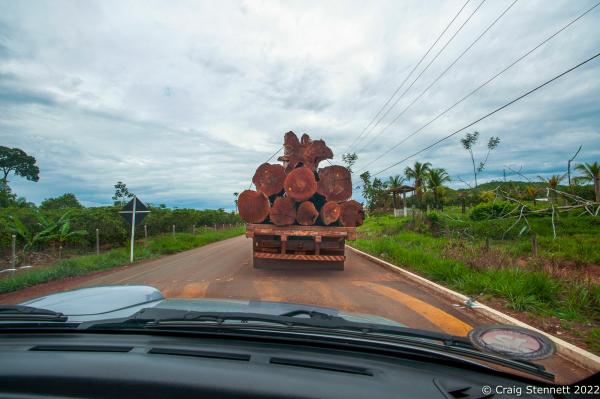 LAPETANHA, BRAZIL-OCTOBER 24: A logging truck on the &quot;Coffee Road&quot; near the indegenous indian territory of the Paiter-Surui tribe in the &quot;7th September Indian Reserve&quot; Rond&ocirc;nia, Brazil on October 24th. The tribe had a 50 year plan to halt illegal logging on their land and plant a million trees in order to return their part of the Amazon rainforest back to its pristine condition through the financing earned from carbon offsetting.Indigenous people have contributed less to climate change than has any other section of the population, yet they are among those most in jeopardy from its impacts. REDD+ stands for &ldquo;Reducing Emissions from Deforestation and Degradation&quot; and it is enshrined in the 2015 Paris Climate Agreement. The &quot;Forest Carbon Project&quot;, was initiated by the Patier-Surui in 2009 and was the first indigenous-led conservation project financed through the sale of carbon offsets. It dramatically reduced deforestation within the territory of the Paiter-Surui during the first five years of operation (2009-2014), but was suspended in 2018 after the discovery of large gold deposits in the territory that sparked a surge in deforestation and a fracture in the indigenous tribe&#39;s unity on how to proceed. (Photo by Craig