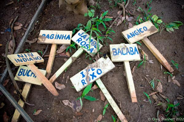 Paiter-Surui Tribe, Amazonia, Brazil-Getty Images - LAPETANHA, BRAZIL-OCTOBER 24: Signage for species of new...