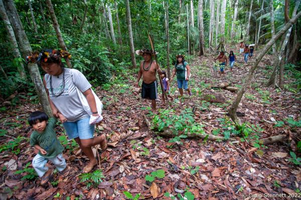 Image from Paiter-Surui Tribe, Amazonia, Brazil-Getty Images - LAPETANHA, BRAZIL-OCTOBER 25: Paiter-Surui indegenous...