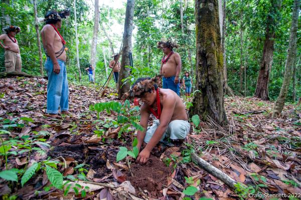 Image from Paiter-Surui Tribe, Amazonia, Brazil-Getty Images - LAPETANHA, BRAZIL-OCTOBER 25: A Paiter-Surui indegenous...