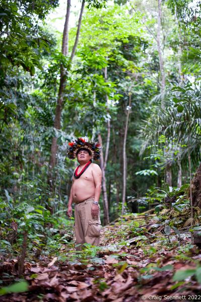 LAPETANHA, BRAZIL-OCTOBER 25: Chief Almir Narayamoga Surui of the indegenous indian tribe of Paiter-Surui stands amidst the Amazonian Rainforest In the &quot;7th September Indian Reserve&quot; Rond&ocirc;nia, Brazil on October 25th, 2010. The tribe under Almir&#39;s leadership had a 50 year plan to halt illegal logging on their land and plant a million trees in order to return their part of the Amazon rainforest back to its pristine condition through the financing earned from carbon offsetting.Indigenous people have contributed less to climate change than has any other section of the population, yet they are among those most in jeopardy from its impacts. REDD+ stands for &ldquo;Reducing Emissions from Deforestation and Degradation&quot; and it is enshrined in the 2015 Paris Climate Agreement. The &quot;Forest Carbon Project&quot;, was initiated by the Patier-Surui in 2009 and was the first indigenous-led conservation project financed through the sale of carbon offsets. It dramatically reduced deforestation within the territory of the Paiter-Surui during the first five years of operation (2009-2014), but was suspended in 2018 after the discovery of large gold deposits in the territory that sparked a surge in deforestation and a fracture in the indigenous tribe&#39;s unity on how to proceed. (Photo by Craig