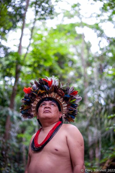 LAPETANHA, BRAZIL-OCTOBER 25: Chief Almir Narayamoga Surui of the indigenous Indian tribe of Paiter-Surui stands amidst the Amazonian Rainforest In the &quot;7th September Indian Reserve&quot; Rond&ocirc;nia, Brazil on October 25th, 2010. The tribe under Almir&#39;s leadership had a 50 year plan to halt illegal logging on their land and plant a million trees in order to return their part of the Amazon rainforest back to its pristine condition through the financing earned from carbon offsetting.Indigenous people have contributed less to climate change than has any other section of the population, yet they are among those most in jeopardy from its impacts. REDD+ stands for &ldquo;Reducing Emissions from Deforestation and Degradation&quot; and it is enshrined in the 2015 Paris Climate Agreement. The &quot;Forest Carbon Project&quot;, was initiated by the Patier-Surui in 2009 and was the first indigenous-led conservation project financed through the sale of carbon offsets. It dramatically reduced deforestation within the territory of the Paiter-Surui during the first five years of operation (2009-2014), but was suspended in 2018 after the discovery of large gold deposits in the territory that sparked a surge in deforestation and a fracture in the indigenous tribe&#39;s unity on how to proceed. (Photo by Craig