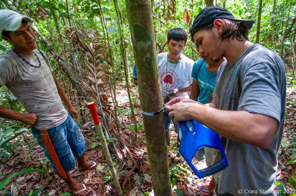 Image from Paiter-Surui Tribe, Amazonia, Brazil-Getty Images - LAPETANHA, BRAZIL-OCTOBER 26: Paiter-Surui volunteers...