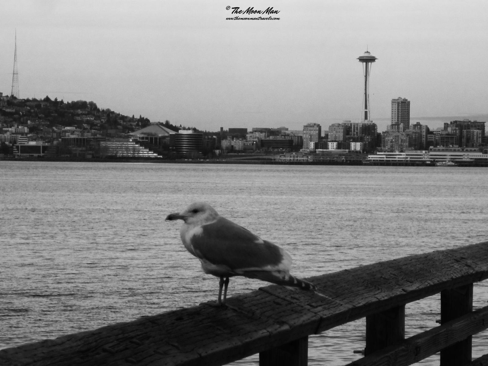 Photography image - Loading Seattle_(25).jpg