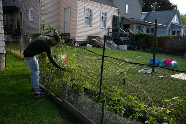 The Daily Orange - Angel Gonzales shows the plants he is growing in his garden with his family. They are growing...