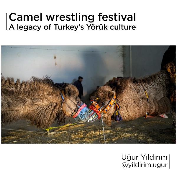 Exhibition: Visura Instagram Takeover - Turkish photographer Ugur Yildirim @yildirim.ugur has worked in crisis regions all over the...