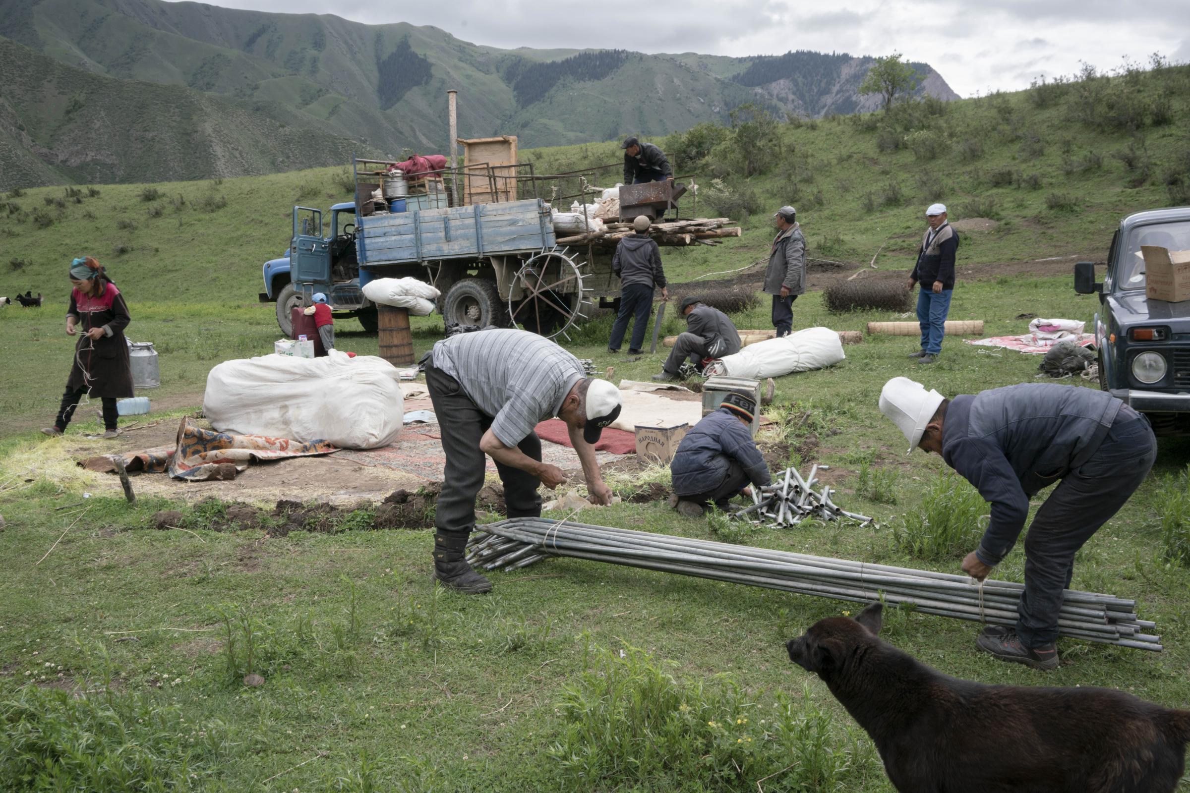 Nomads - The Arsanalievs and a few neighbors from nearby camps help pack their yurts for their move from...