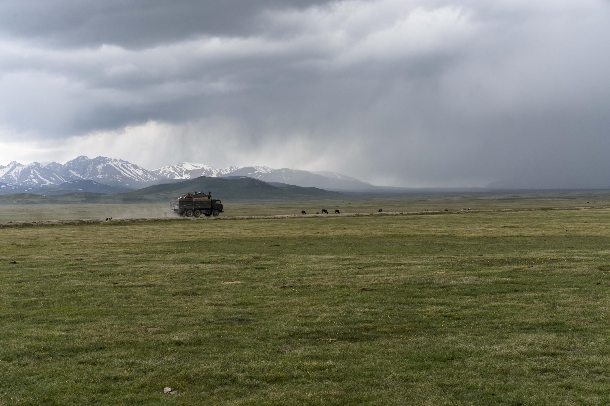 Nomads - A semi-nomadic family arrives in Song Kol to set up their yurt camp. Naryn Region, Kyrgyzstan....