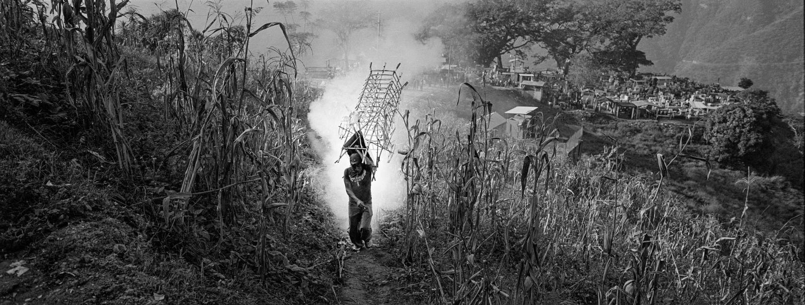 A man carries fireworks in a maize field in Mazatlan Villa de Flores, Oaxaca. November 2017.