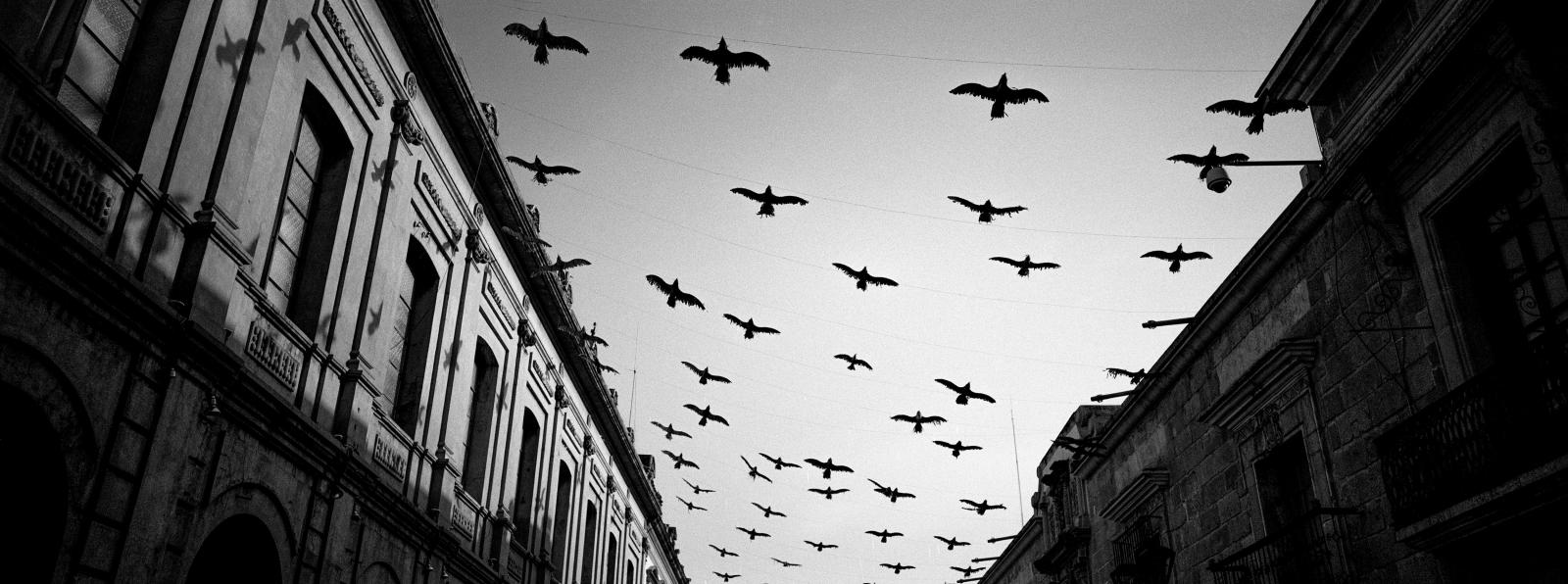 Hasselblad Xpan Travel Black and White Photos Oaxaca, Mexico Oaxaca 2015