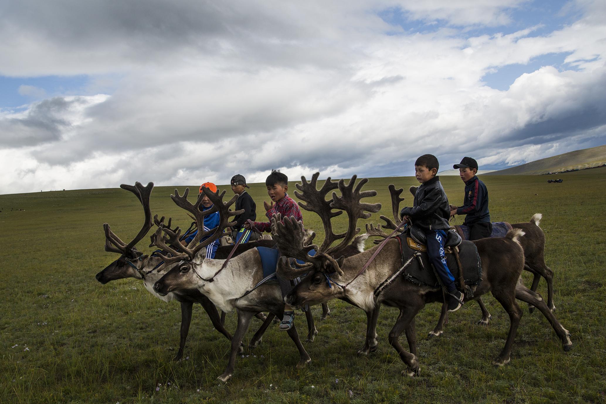 Tsaatan - 