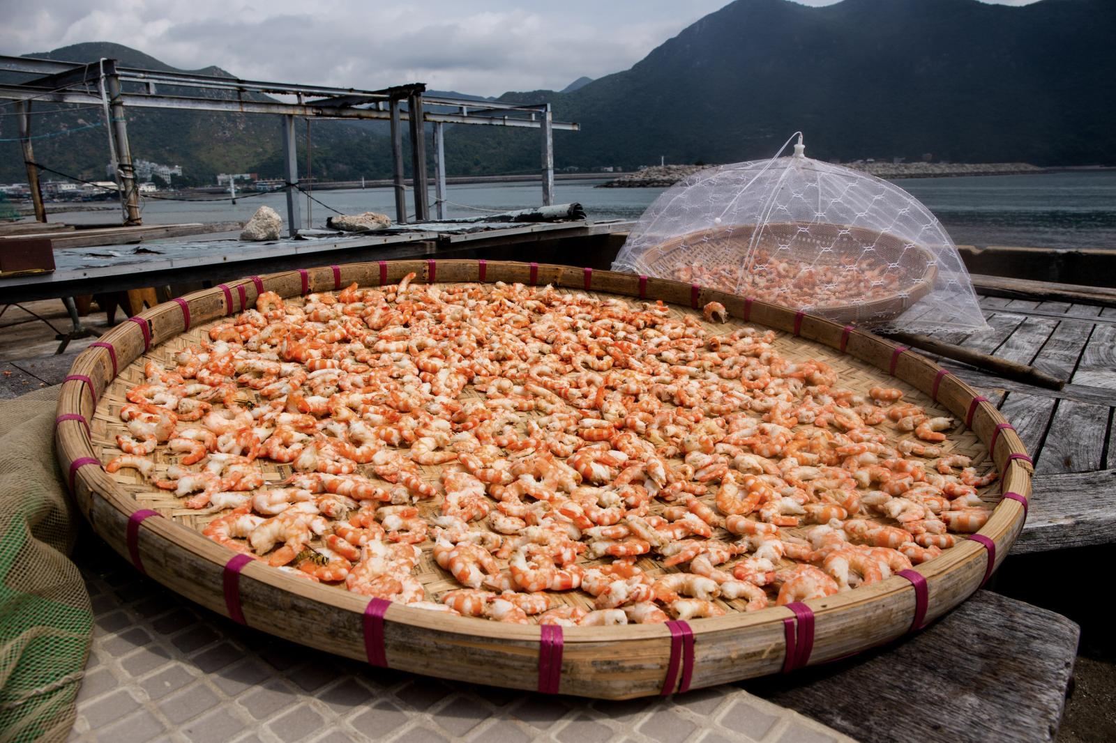 Tai O, Hong Kong &ndash; 12...reate salted fish for tourists.