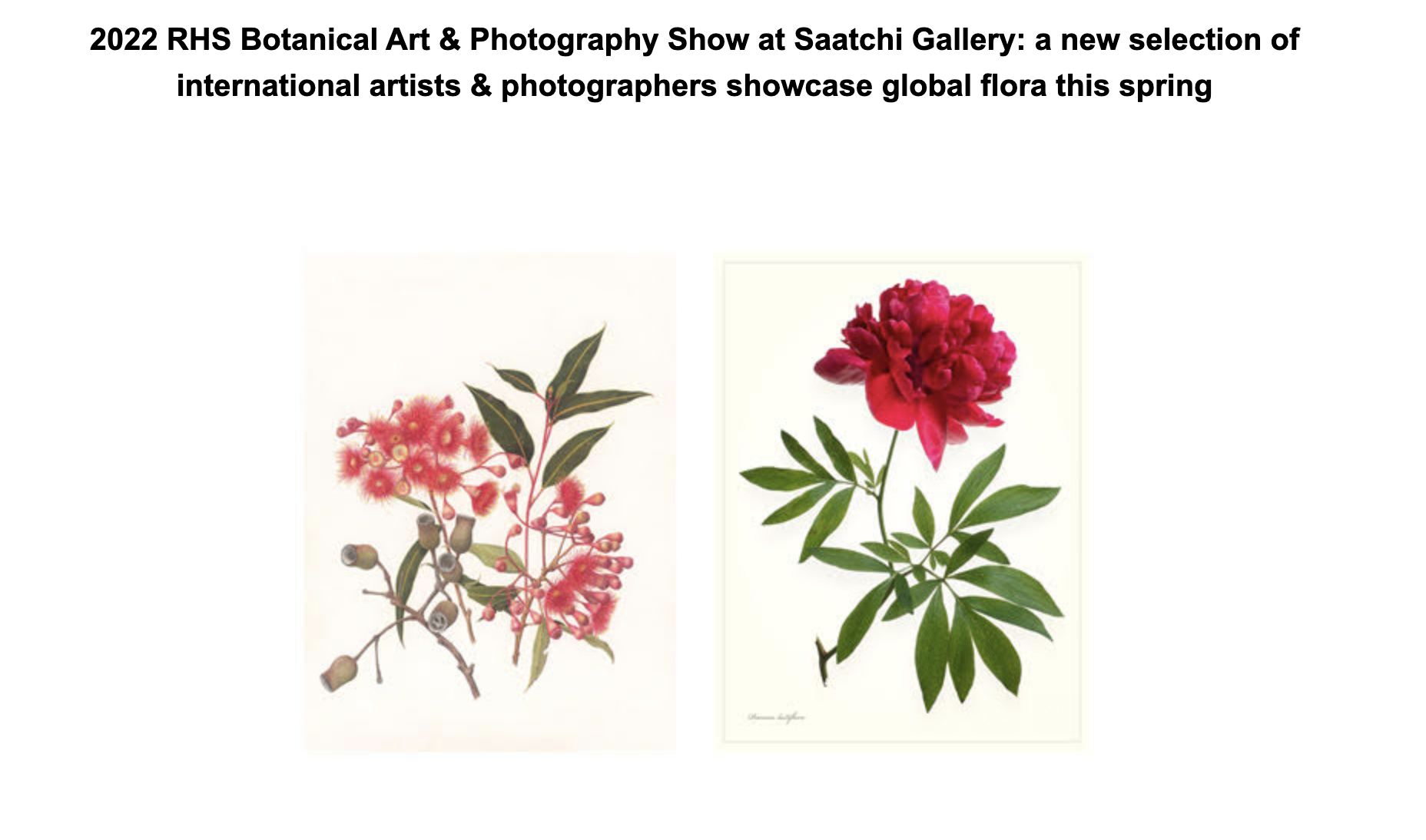Thumbnail of Exhibition: 2022 RHS Botanical Art & Photography Show at Saatchi Gallery: a new selection of international artists & photographers showcase global flora this spring