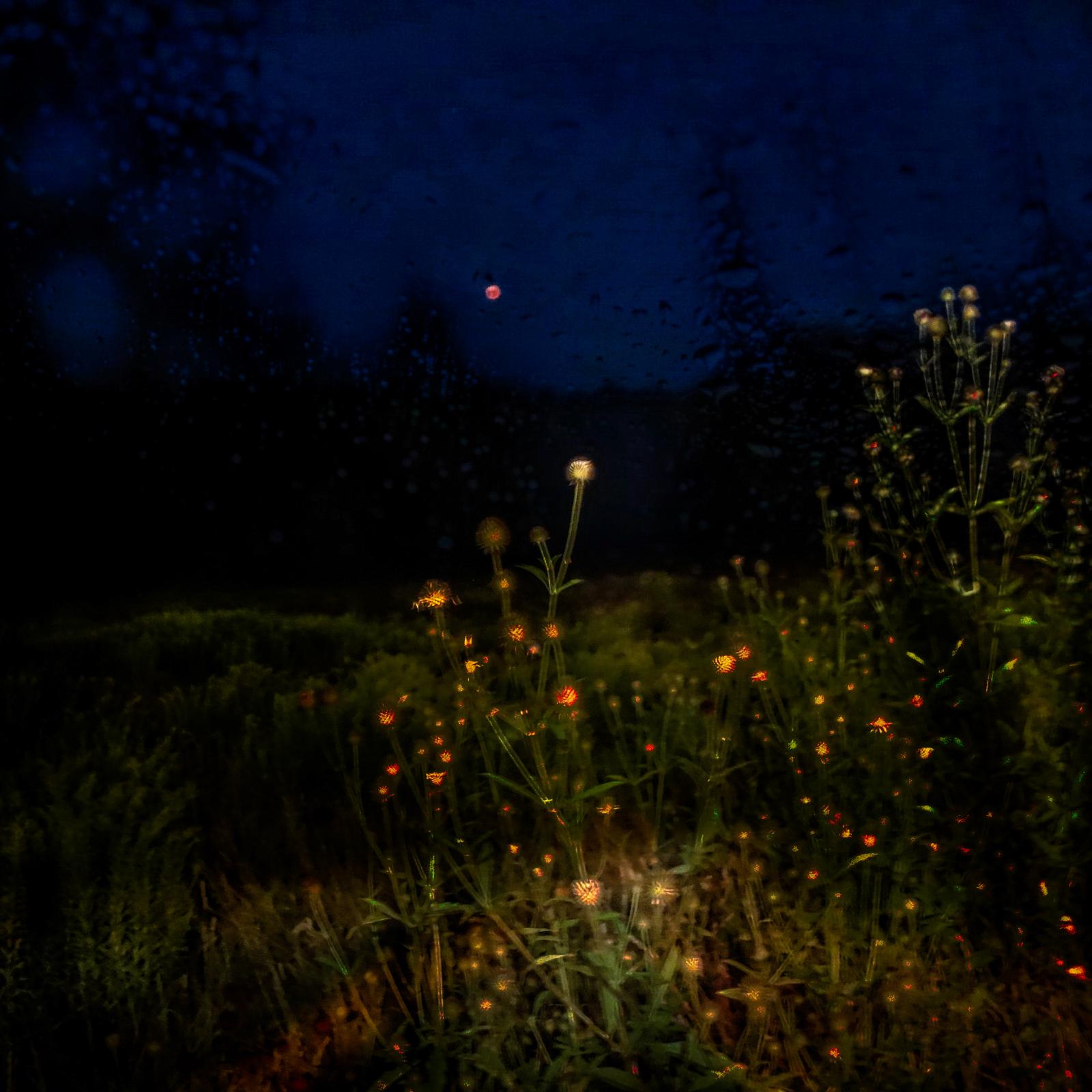 Photographic Paintings -  Blood Moon Symphony  2018 View at night of the Blood Moon. In the foreground a meadow with...