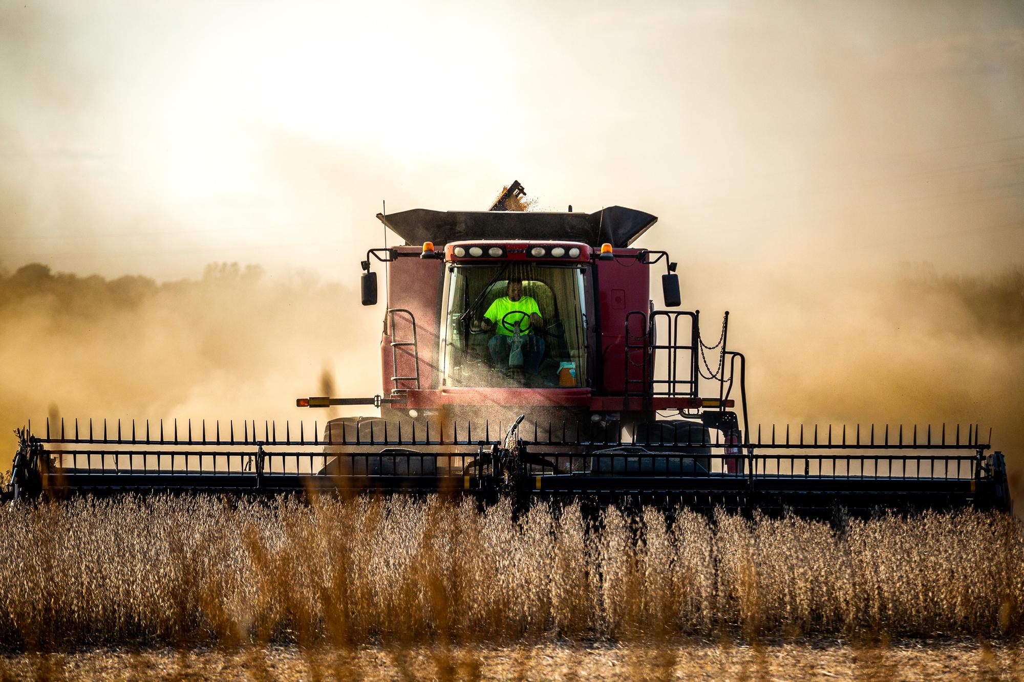 A combine harvests the last row of soybeans on Tuesday, November 9, 2021 in a field near Interstate 63. As fall wears on soybean harvesting season...