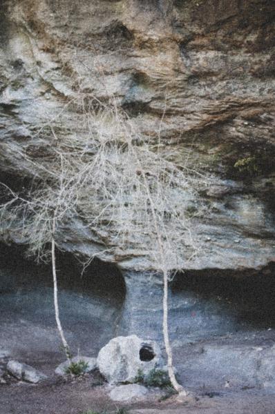 Resonances - 