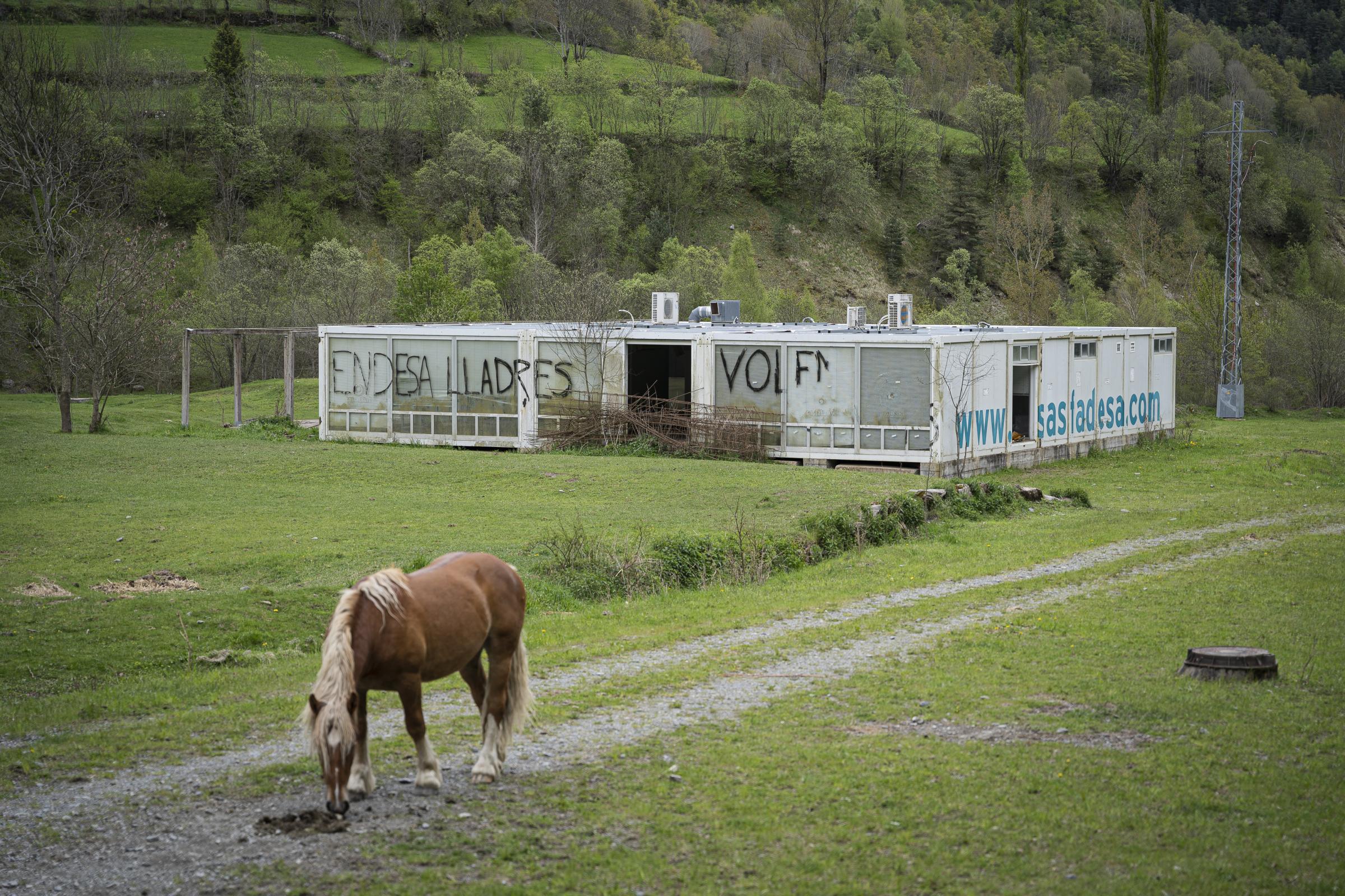  A horse grazes on the golf course of the Vallfosca Resort project, with a Fadesa building behind...